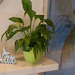Mit Kamin , Terrasse Und Aussensauna