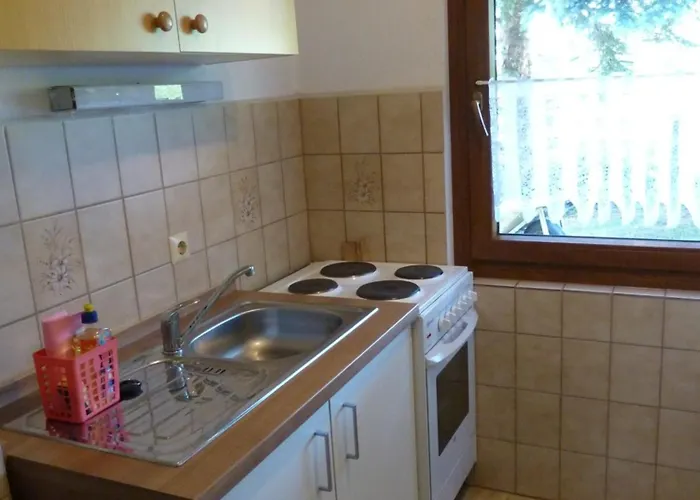 Mit Kamin , Terrasse Und Aussensauna * Pohla